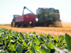jovem aprendiz 3 tentos