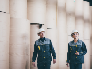 jovem aprendiz softys