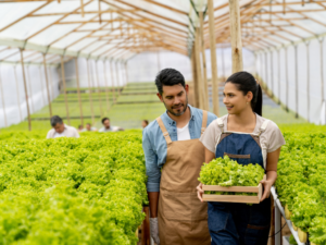 jovem aprendiz timac agro